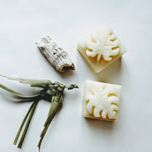 Charger l'image dans la galerie, REVITALISANT SOLIDE - Solid conditionner - Calypso Éco-savonnerie