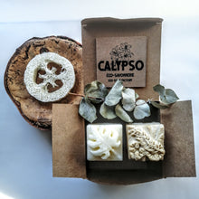 Charger l'image dans la galerie, shampoing solide shampoo bar revitalisant solide conditionner bar coffret box jasmin exotica luffa calypso