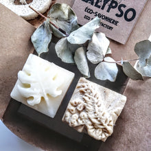 Charger l'image dans la galerie, BOX Zéro Déchet - DUO CHEVEUX DOUX - SHAMPOING ET REVITALISANT SOLIDES - Soft Hair - Calypso Éco-savonnerie