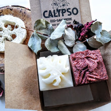 Charger l'image dans la galerie, BOX Zéro Déchet - DUO CHEVEUX GRAS - SHAMPOING & REVITALISANT SOLIDES - oily hair - Calypso Éco-savonnerie