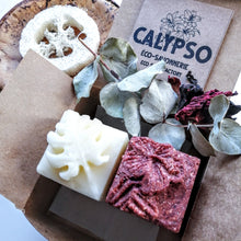 Charger l'image dans la galerie, BOX Zéro Déchet - DUO CHEVEUX GRAS - SHAMPOING & REVITALISANT SOLIDES - oily hair - Calypso Éco-savonnerie