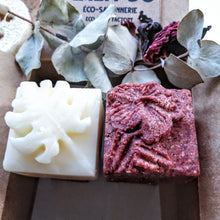 Charger l'image dans la galerie, BOX Zéro Déchet - DUO CHEVEUX GRAS - SHAMPOING & REVITALISANT SOLIDES - oily hair - Calypso Éco-savonnerie