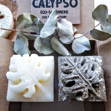 Charger l'image dans la galerie, shampoing solide shampoo bar revitalisant solide conditionner bar coffret box jasmin exotica luffa calypso