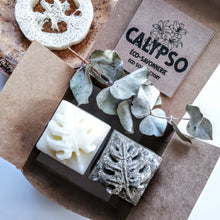 Charger l'image dans la galerie, shampoing solide shampoo bar revitalisant solide conditionner bar coffret box jasmin exotica luffa calypso