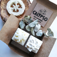 Charger l'image dans la galerie, BOX Zéro Déchet - DUO CHEVEUX BRILLANT - SHAMPOING & REVITALISANT SOLIDES - radiant hair - Calypso Éco-savonnerie