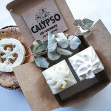 Charger l'image dans la galerie, BOX Zéro Déchet - DUO CHEVEUX BRILLANT - SHAMPOING & REVITALISANT SOLIDES - radiant hair - Calypso Éco-savonnerie