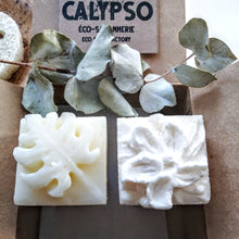 Charger l'image dans la galerie, BOX Zéro Déchet - DUO CHEVEUX BRILLANT - SHAMPOING & REVITALISANT SOLIDES - radiant hair - Calypso Éco-savonnerie