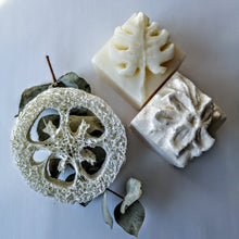 Charger l'image dans la galerie, BOX Zéro Déchet - DUO CHEVEUX BRILLANT - SHAMPOING & REVITALISANT SOLIDES - radiant hair - Calypso Éco-savonnerie