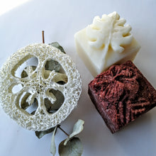 Charger l'image dans la galerie, BOX Zéro Déchet - DUO CHEVEUX GRAS - SHAMPOING & REVITALISANT SOLIDES - oily hair - Calypso Éco-savonnerie