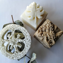 Charger l'image dans la galerie, shampoing solide shampoo bar revitalisant solide conditionner bar coffret box jasmin exotica luffa calypso