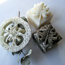 Charger l'image dans la galerie, shampoing solide shampoo bar revitalisant solide conditionner bar coffret box jasmin exotica luffa calypso