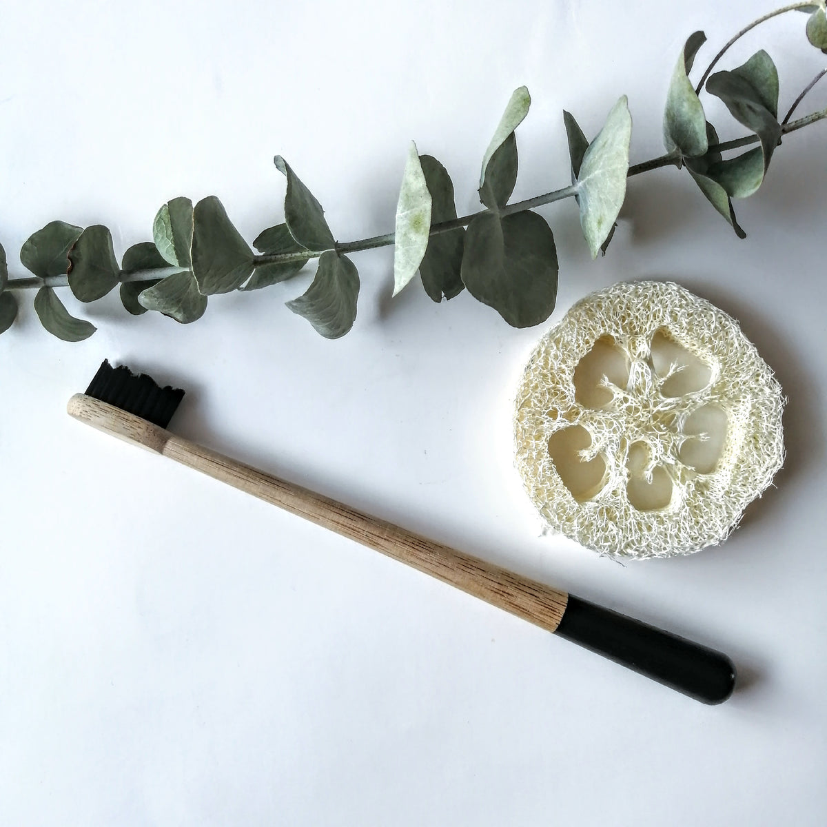 Brosse à Dents En Bambou 100% Biodégradable - Emballage écologique, Poils Medium, à L'unité