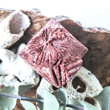 Charger l'image dans la galerie, SHAMPOOING SOLIDE - HIBISCUS ET COCO Shampoo bar - Calypso Éco-savonnerie