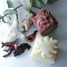 Charger l'image dans la galerie, BOX Zéro Déchet - DUO CHEVEUX GRAS - SHAMPOING & REVITALISANT SOLIDES - oily hair - Calypso Éco-savonnerie