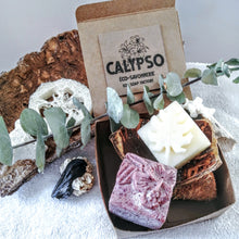 Charger l'image dans la galerie, BOX Zéro Déchet - DUO CHEVEUX GRAS - SHAMPOING & REVITALISANT SOLIDES - oily hair - Calypso Éco-savonnerie