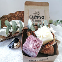 Charger l'image dans la galerie, BOX Zéro Déchet - DUO CHEVEUX GRAS - SHAMPOING & REVITALISANT SOLIDES - oily hair - Calypso Éco-savonnerie