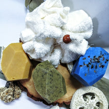 Charger l'image dans la galerie, DUO de GELS DOUCHE SOLIDES et leur HOUPETTE