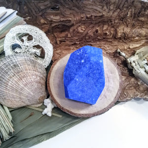 GEL DOUCHE solide - pin et bleuets sauvages - Pine and wild blueberries shower gel bar - Calypso Éco-savonnerie