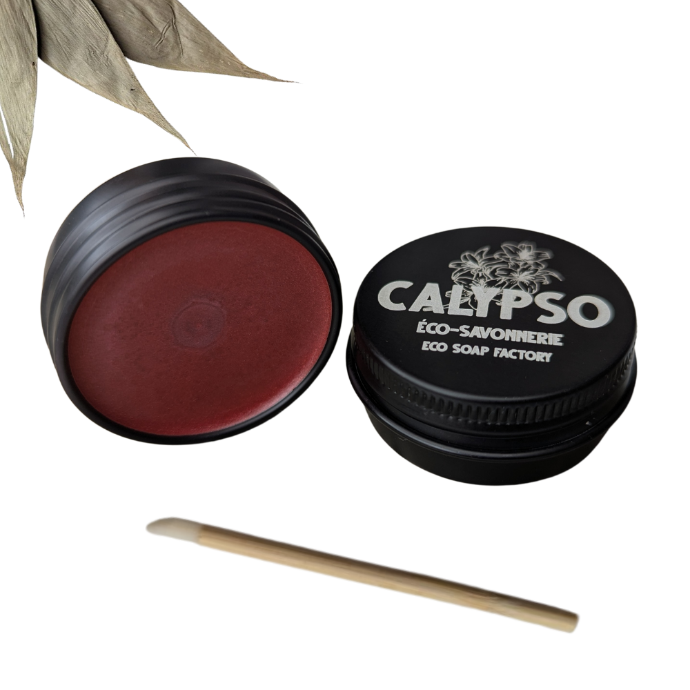 ROUGE À LÈVRE PRUNE - lipstick