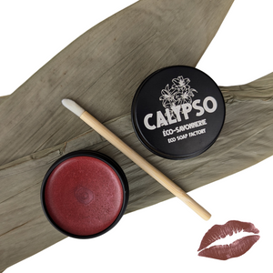 ROUGE À LÈVRE PRUNE - lipstick
