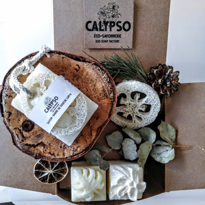 COFFRET CADEAU - BOX CHEVEUX et CORPS - Body and hair kit - Calypso Éco-savonnerie