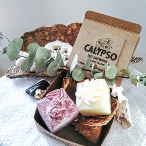 BOX Zéro Déchet - DUO CHEVEUX GRAS - SHAMPOING & REVITALISANT SOLIDES - oily hair - Calypso Éco-savonnerie