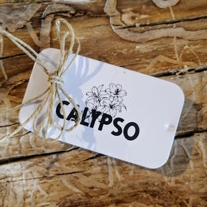 BAUME À LÈVRES CALYPSO - ultra hydratant - ORGANIC LIP BALM - Calypso Éco-savonnerie