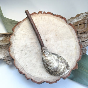 CUILLÈRE upcyclée en coquillage d'huître - Upcycled oyster shell spoon - Calypso Éco-savonnerie